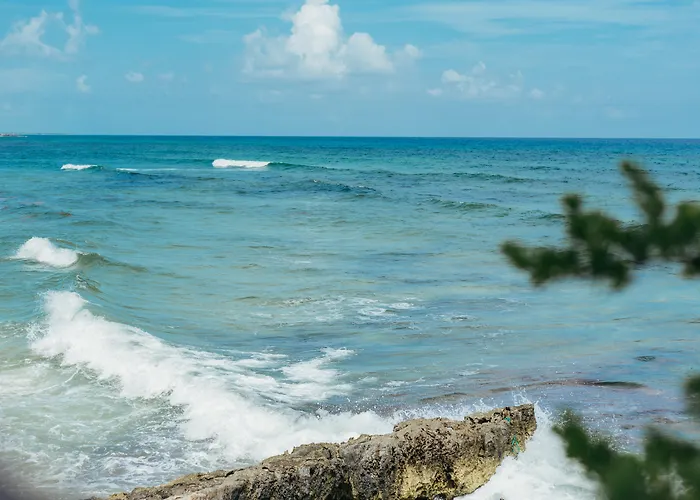 Ventanas Al Mar Front (adults Only) Hotel Cozumel