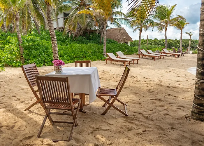 Hotel Ventanas Al Mar Front (adults Only) Cozumel